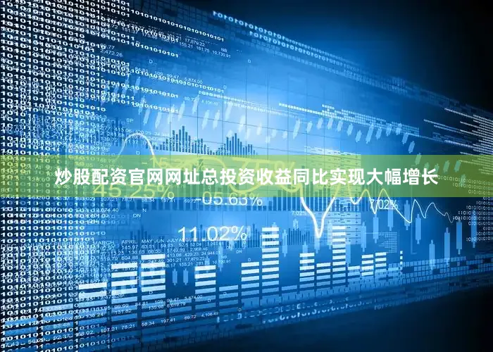炒股配资官网网址总投资收益同比实现大幅增长