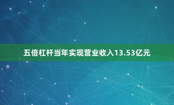 五倍杠杆当年实现营业收入13.53亿元