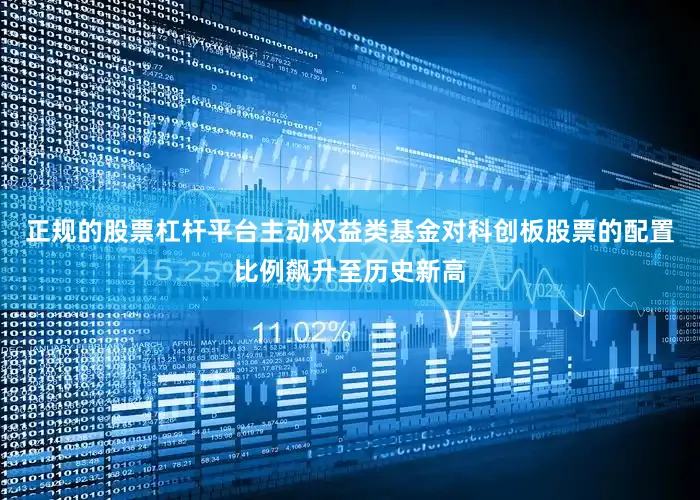 正规的股票杠杆平台主动权益类基金对科创板股票的配置比例飙升至历史新高